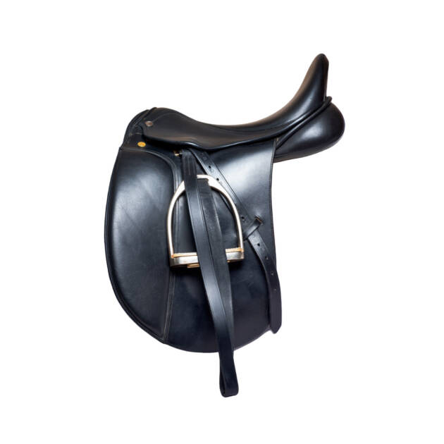 Black Saddle